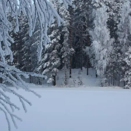 Ferienhaus Cozy In Savonranta